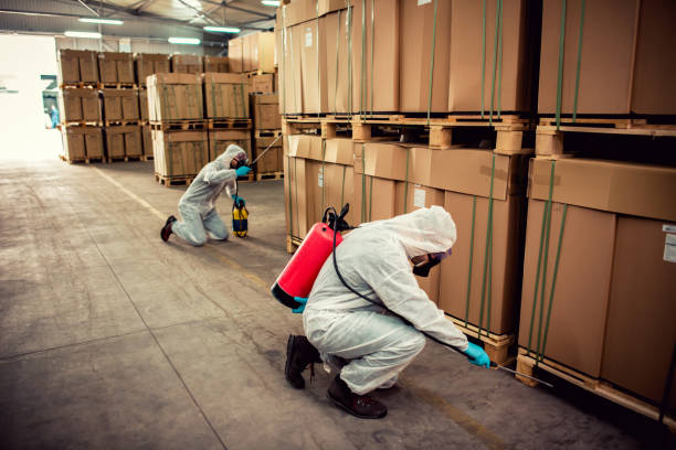 Best Best Pest Control Companies  in Decatur, IL