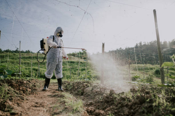 Best Ant Control Services  in Decatur, IL