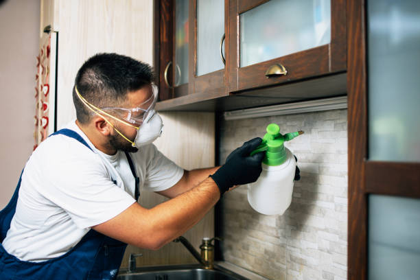 Best Pest Control Near Me  in Decatur, IL