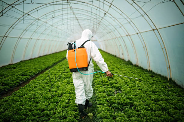 Best Local Pest Control Services  in Decatur, IL