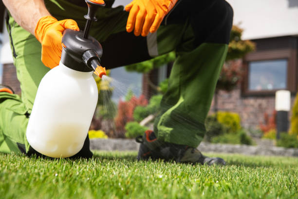 Best Best Pest Control Near Me  in Decatur, IL