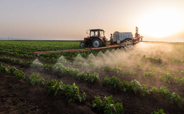 Best Pest Prevention Services  in Decatur, IL