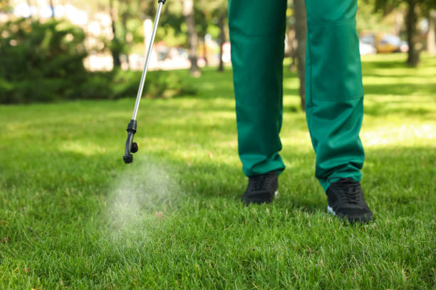 Trusted Decatur, IL Pest Control Experts