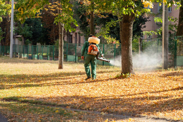 Best Emergency Pest Control  in Decatur, IL