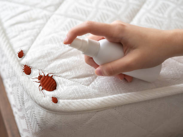 Best Residential Pest Control  in Decatur, IL