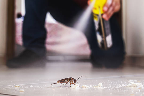  Decatur, IL Pest Control Pros