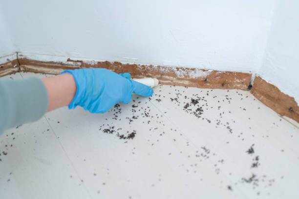 Pest Control Cost in Decatur, IL